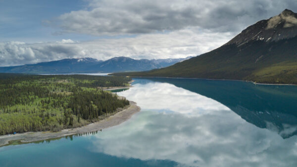Kanada und Alaska - 3000km Wildnis und Freiheit am Yukon – Bild 9