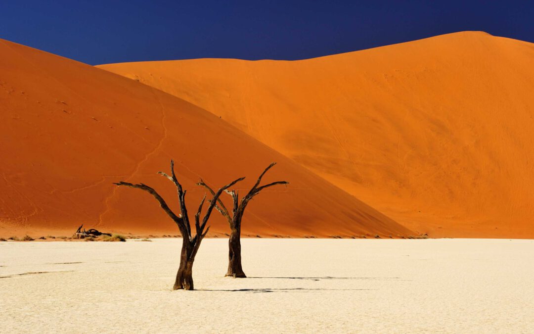 Trailer zur „Namibia & Botswana“-Reportage!