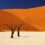 Wildnis Afrika!