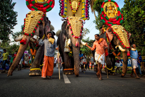 Magisches Indien – Bild 12