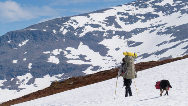 Magie des Nordens - Abenteuer in Norwegen, Schweden und Finnland – Bild 2