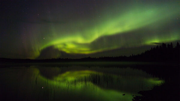 Magie des Nordens - Abenteuer in Norwegen, Schweden und Finnland – Bild 8