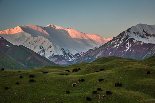 Im Pamir – Leben in einer entlegenen Welt – Bild 5