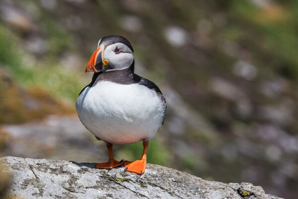 Irland – Wild Atlantic Ride – Bild 11