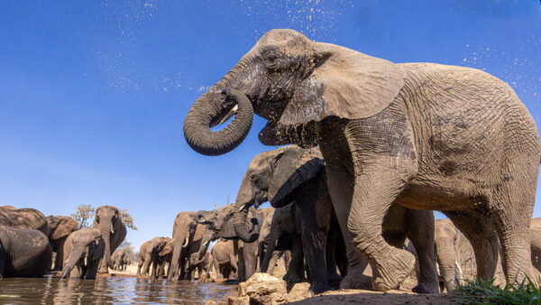 Namibia und Botswana - Echo der Schöpfung – Bild 13