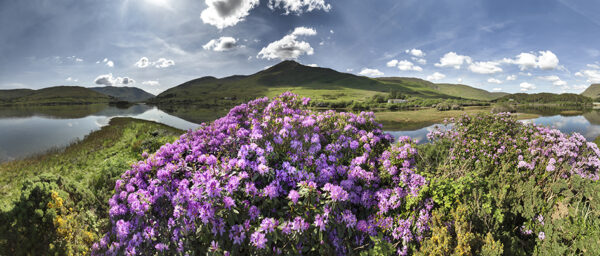 Magisches Irland – Bild 2