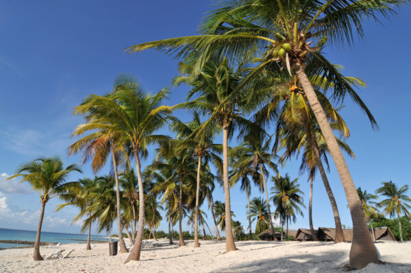 Cuba - Rhythmus, Rum & Revolution – Bild 7