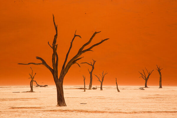 Traumhaftes Namibia