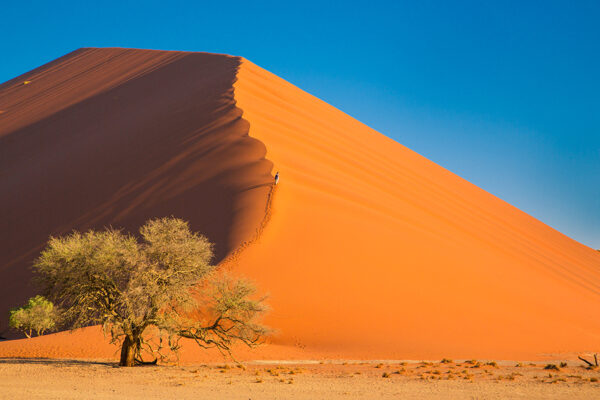 Traumhaftes Namibia – Bild 3