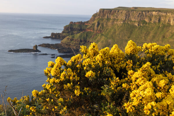 Magisches Irland – Bild 6