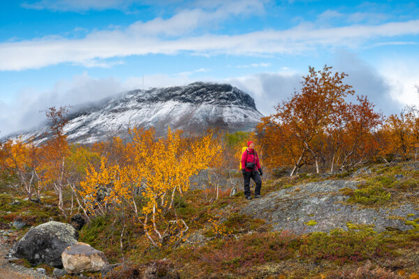 Skandinavien - Norwegen, Schweden & Finnland – Bild 8