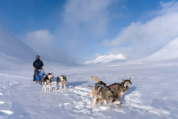 Skandinavien - Norwegen, Schweden & Finnland – Bild 10