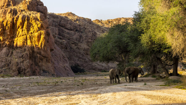 Namibia und Botswana - Echo der Schöpfung – Bild 9