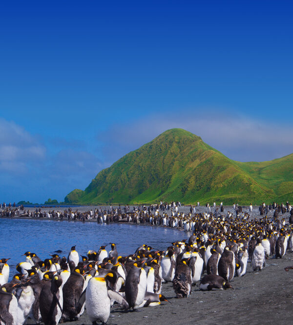 Neuseeland & Südpazifik (3D-Show) – Bild 13