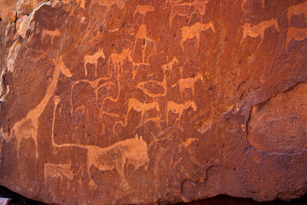 Traumhaftes Namibia – Bild 12