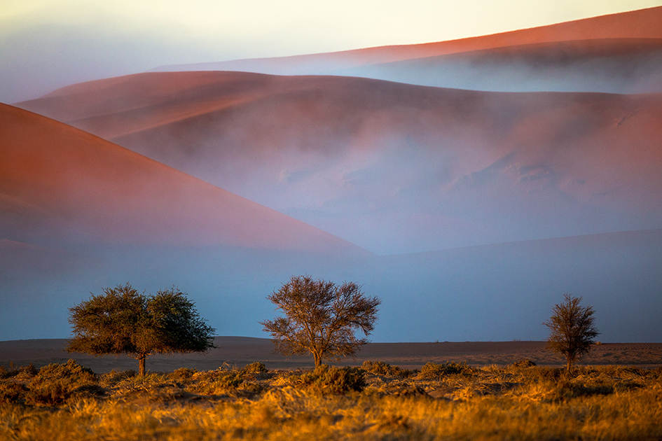 Afrika - Unterwegs im wilden Süden – Bild 13