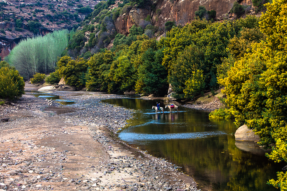 Afrika - Unterwegs im wilden Süden – Bild 6