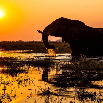 Afrika - Unterwegs im wilden Süden