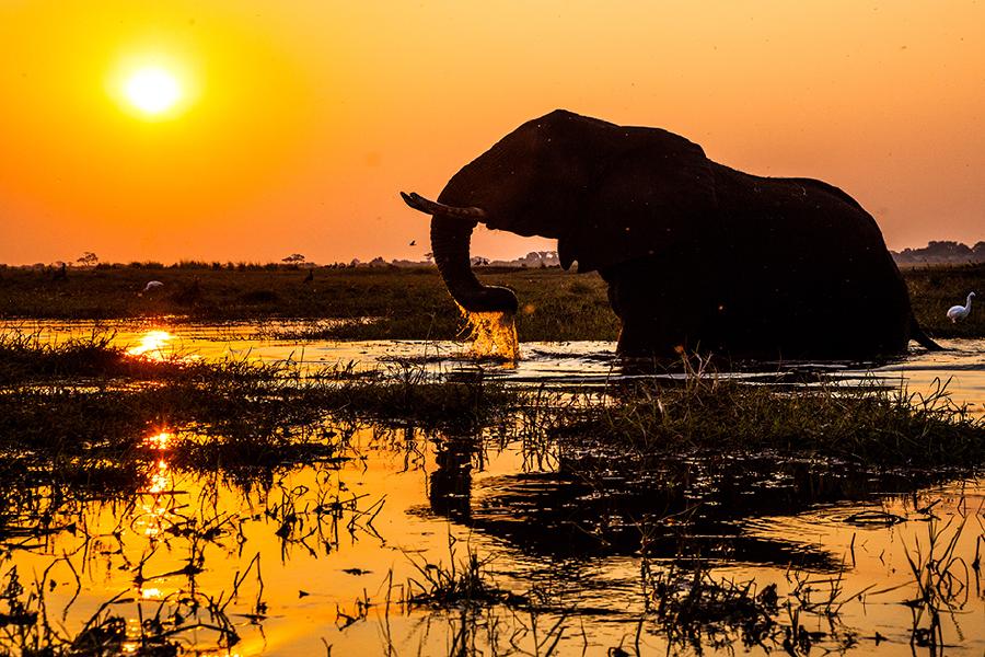 Afrika - Unterwegs im wilden Süden