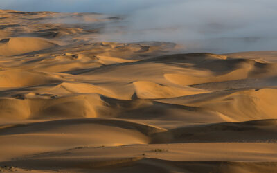 BONN-Premiere: Neue „Botswana & Namibia“-Reportage heute im Kinopolis