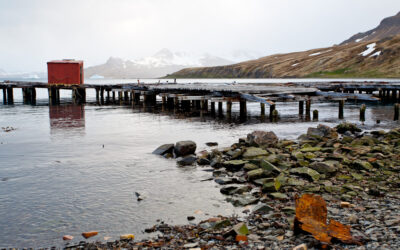 „Abenteuer Antarktis“ am 25.01. in Koblenz