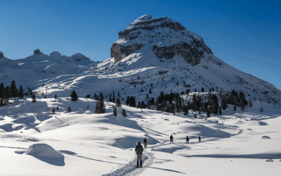23.03.26: „Südtirol“ im Kinopolis Bad Godesberg