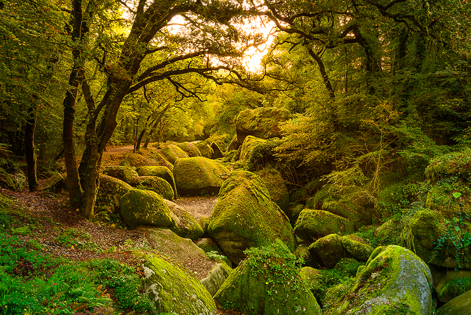 Bretagne - Land im Meer – Bild 5