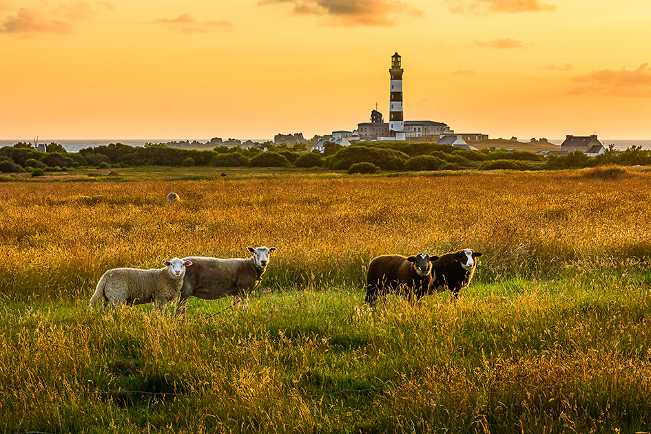 Bretagne - Land im Meer – Bild 9
