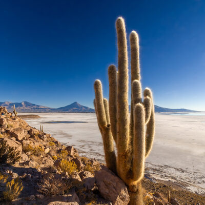 Chile - Von der Atacamawüste in die Antarktis
