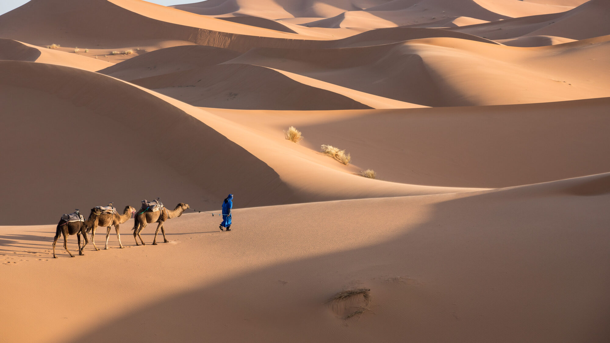 Marokko – farbig, faszinierend, orientalisch – Bild 8