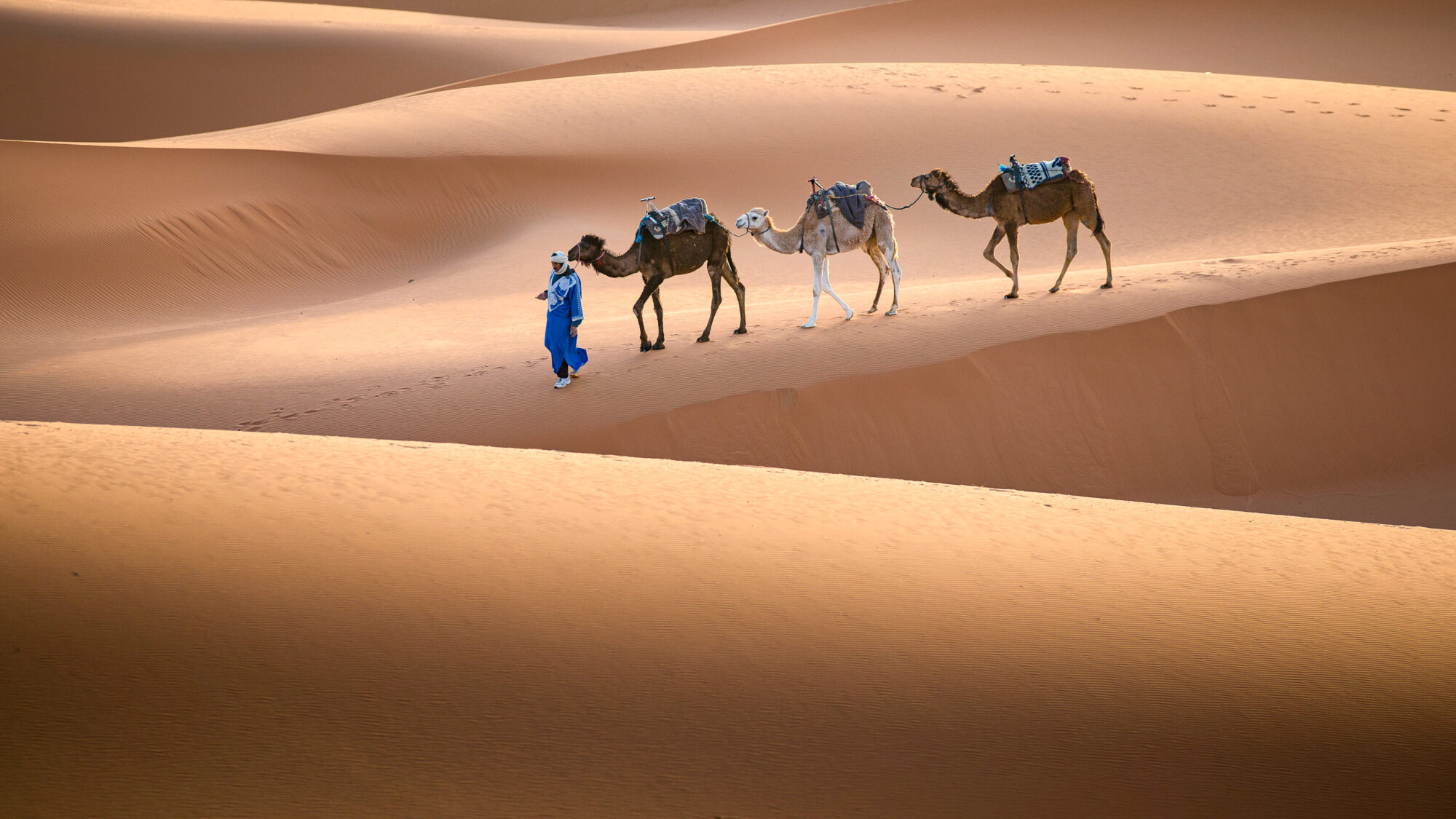 Marokko – farbig, faszinierend, orientalisch – Bild 4