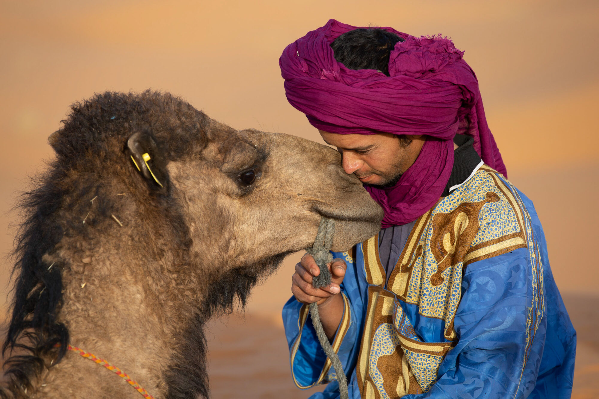 Marokko – farbig, faszinierend, orientalisch – Bild 12