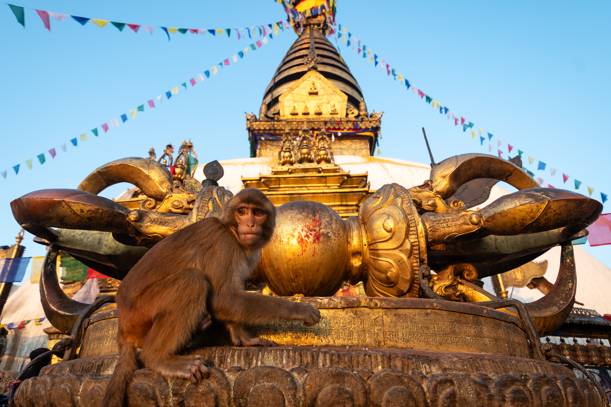 Grenzenlos nach Nepal: Der große Roadtrip. Von Deutschland bis Kathmandu. – Bild 12